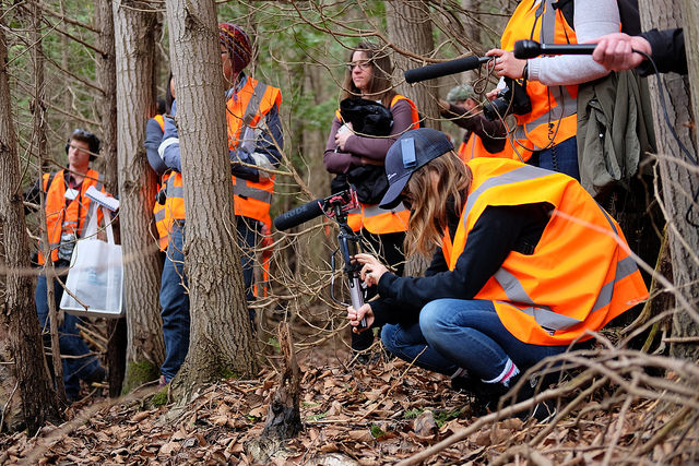 34152610421_cd5a2a2ba1_z