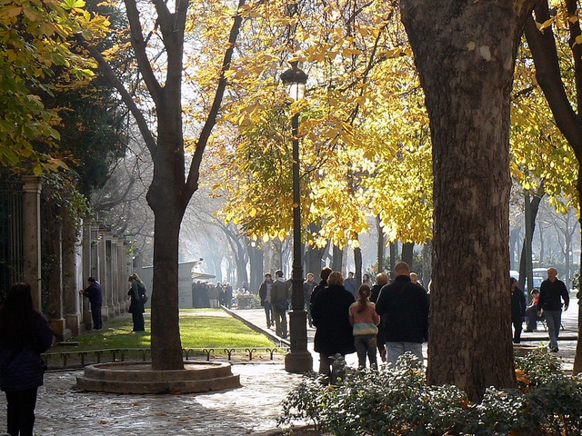 5339586723_18ace38e32_z_1