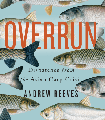 Screen Shot 2018-09-21 at 9.20.46 AM